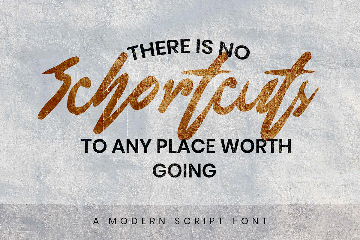 Blondering Modern Script Font, a Script Font by Haws.std (Photo 5 of 6)