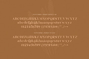 Novembra Serif Font Duo, a Serif Font by Salt & Pepper Designs (Thumbnail 8 of 11)