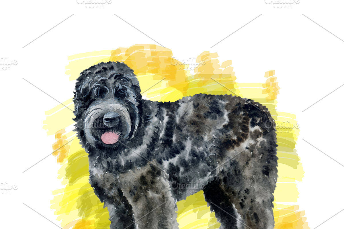 Watercolor Dogs Mega Big Bundle, an Illustration by Dneprstock (Photo 58 of 60)