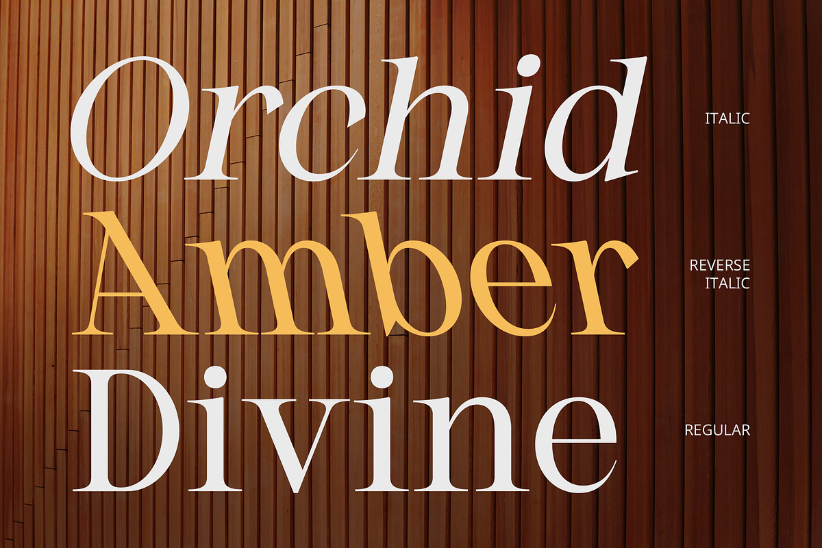 CS Quest – Classic Font, a Serif Font by Craft Supply Co. (Photo 5 of 8)