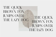 Cerost Modern Ligature Typeface, a Serif Font by Dylla_studio (Thumbnail 12 of 14)