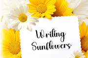 The Balista, a Handwritten Font by FreshTypeINK (Thumbnail 6 of 8)