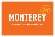 Monterey, a Serif Font by Jordan Wilson (Thumbnail 1 of 9)