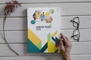 Company Profile 2019, a Brochure Template by Addaxx (Thumbnail 1 of 8)