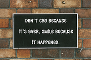 Nice Cookies | Script Font, a Script Font by Scratchones (Thumbnail 3 of 8)