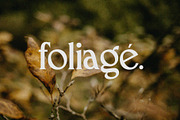 Macchiola | Vintage Display Serif, a Serif Font by Typoraith Co (Thumbnail 12 of 15)