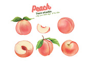 Peach Clip Art, a Food Illustration by 7nov.studio (Thumbnail 3 of 3)