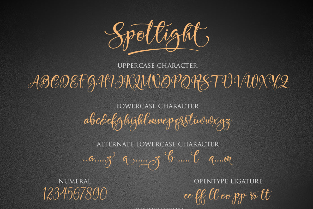 Spotlight preview 8