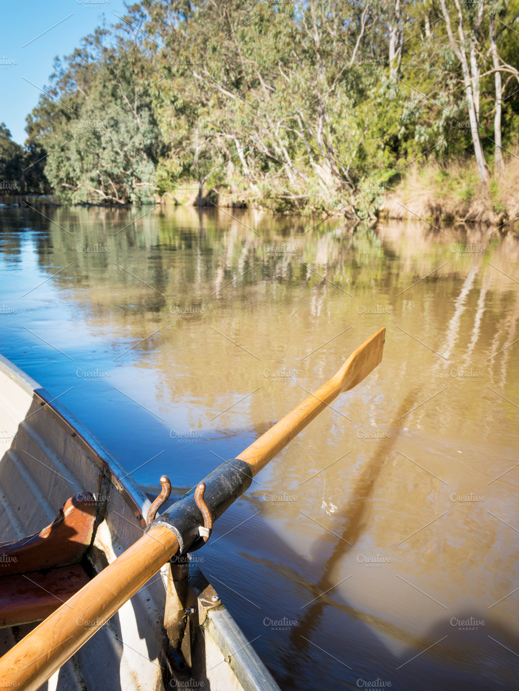 Rowing Yarra River Melbourne, a School & Education Photo by THP Creative