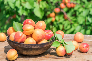 Ripe apricots in the wooden bowl on, a Photo by Volff