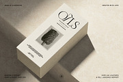 Bespoke Display - Serif & Script Duo, a Serif Font by SilverStag Type Foundry (Thumbnail 11 of 36)