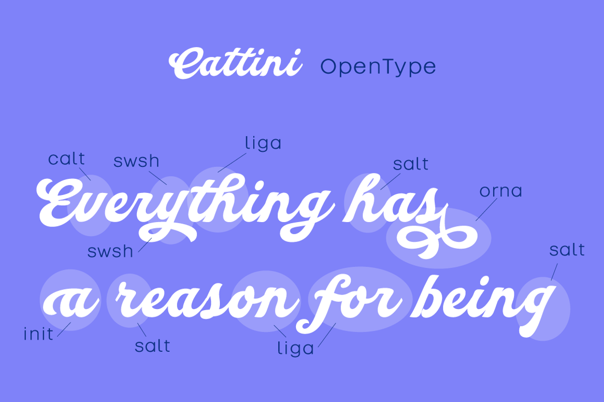 Cattini Script, a Script Font by Eurotypo (Photo 3 of 6)