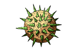 beach virus sketch hand drawn vector, an Illustration by pikepicture