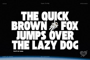 TAN - St. Canard, a Sans Serif Font by TanType (Thumbnail 2 of 12)