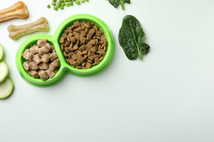 Concept of organic pet food on white background, a Food & Drink Photo by AtlasStudio PRO