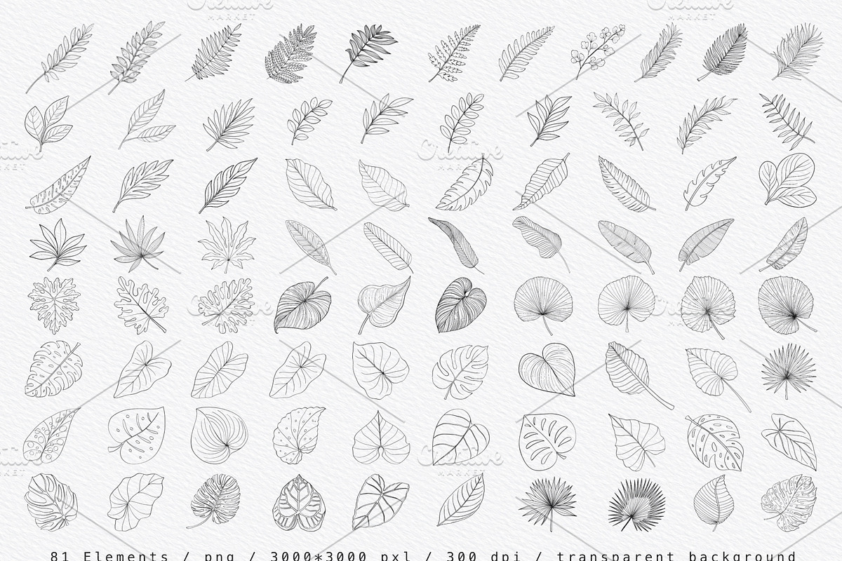 “Charm” Tropical Leaves Lineart, an Illustration by Sense Library (Photo 8 of 23)