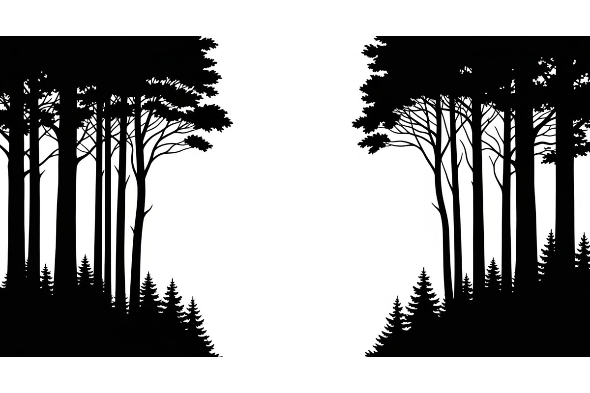 Forest Frame Silhouette SVG Bundle, an Illustration by jahid234 (Photo 39 of 51)
