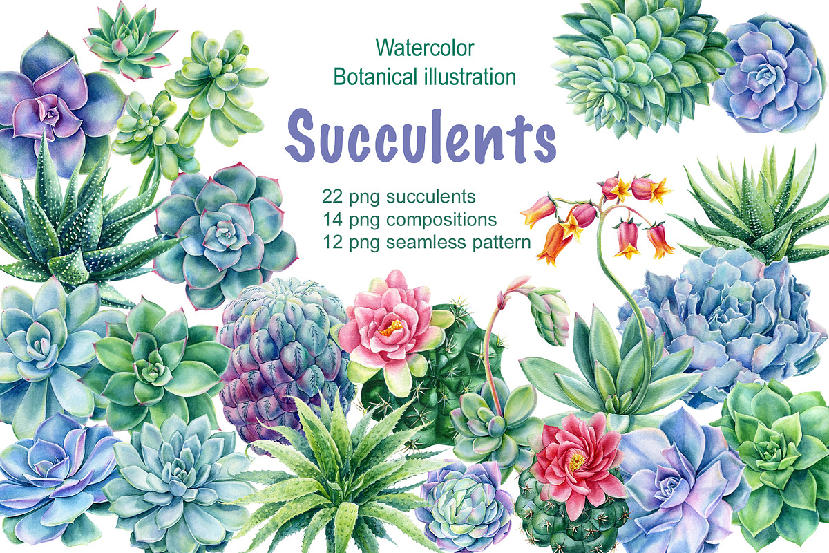 Succulents Botanical Watercolor, a Background Graphic by Hanna Hryharenka (Photo 1 of 15)