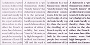 Celaraz, a Serif Font by Tokotype (Thumbnail 5 of 6)