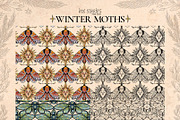 Winter Moths & Evergreen Botanicals, a Seasonal Illustration by Ink Stories (Thumbnail 9 of 15)