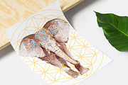 Watercolor Animals Set, an Animal Illustration by Flo Sacred Art (Thumbnail 3 of 11)