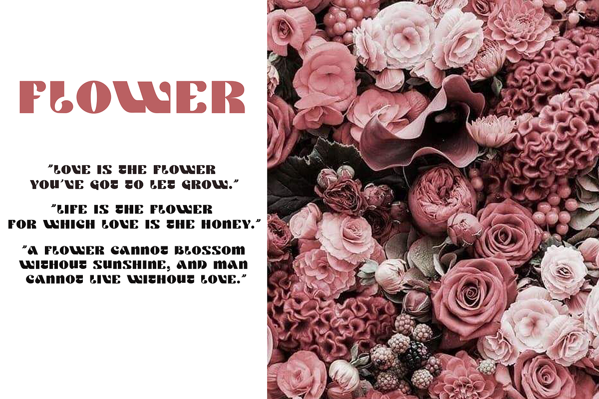 Clefont, a Serif Font by lelevien (Photo 1 of 2)