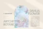 Bloomy Korea - Modern Serif Font, a Serif Font by Artchitype Studio (Thumbnail 4 of 12)