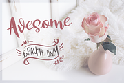 White Nights + Extras, a Script Font by Larin Type Co. (Thumbnail 5 of 9)