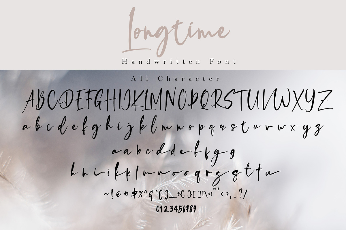 Longtime, a Script Font by Teweka (Photo 10 of 10)