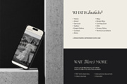 Hampton | Showit Website Template, a Landing Page Template by Lavinia Visuals (Thumbnail 3 of 9)