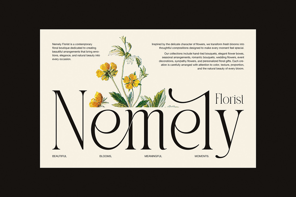 Bember Elegant Serif Font, a Serif Font by Graphicxell (Photo 2 of 8)
