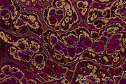 20 burgundy marble textures 64 mp, a Texture Graphic by tkdesign (Thumbnail 16 of 21)