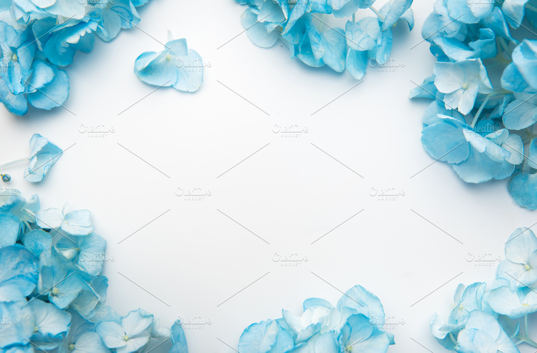 Blue hydrangea flowers creating a delicate floral border, a Nature Photo by Olena Rudo