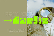 DARLIZ | Display Font, a Serif Font by Vermeulen Design Studio (Thumbnail 1 of 6)