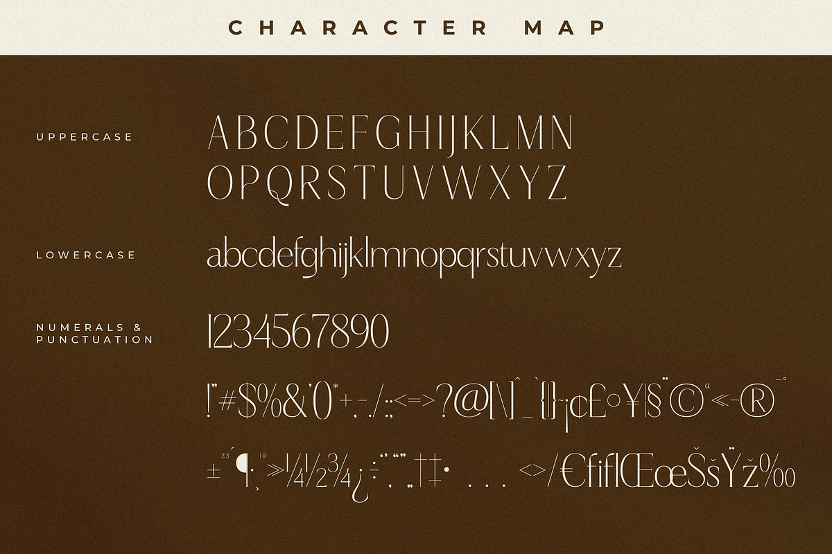Qaflone Modern Minimalist Serif, a Serif Font by Storytype Studio (Photo 13 of 15)