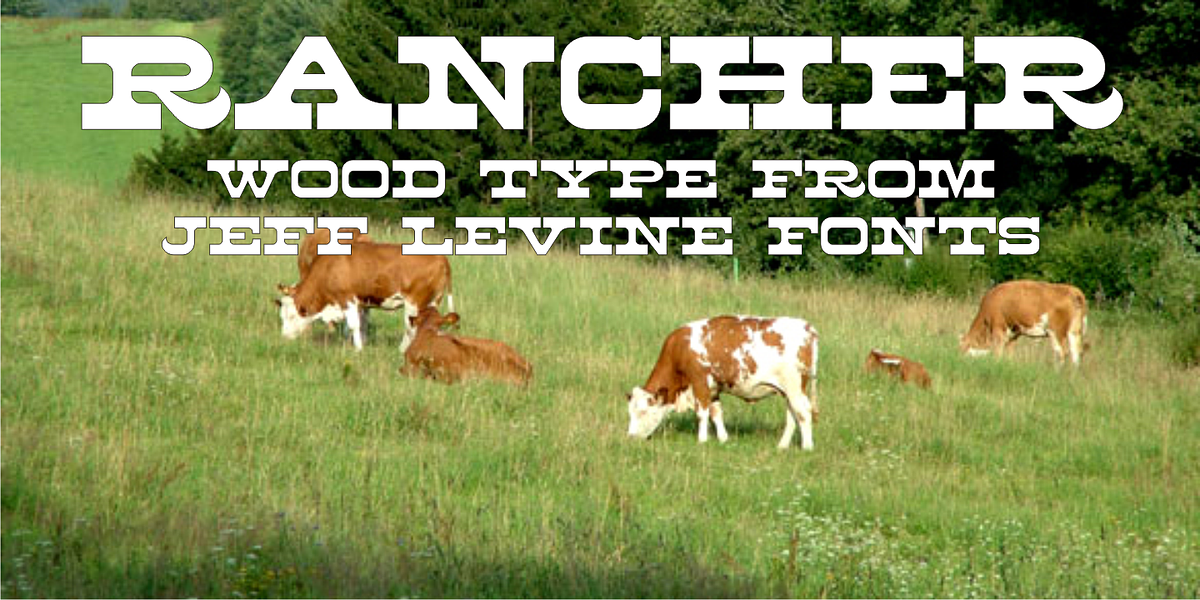 Rancher JNL, a Slab Serif Font by Jeff Levine Fonts