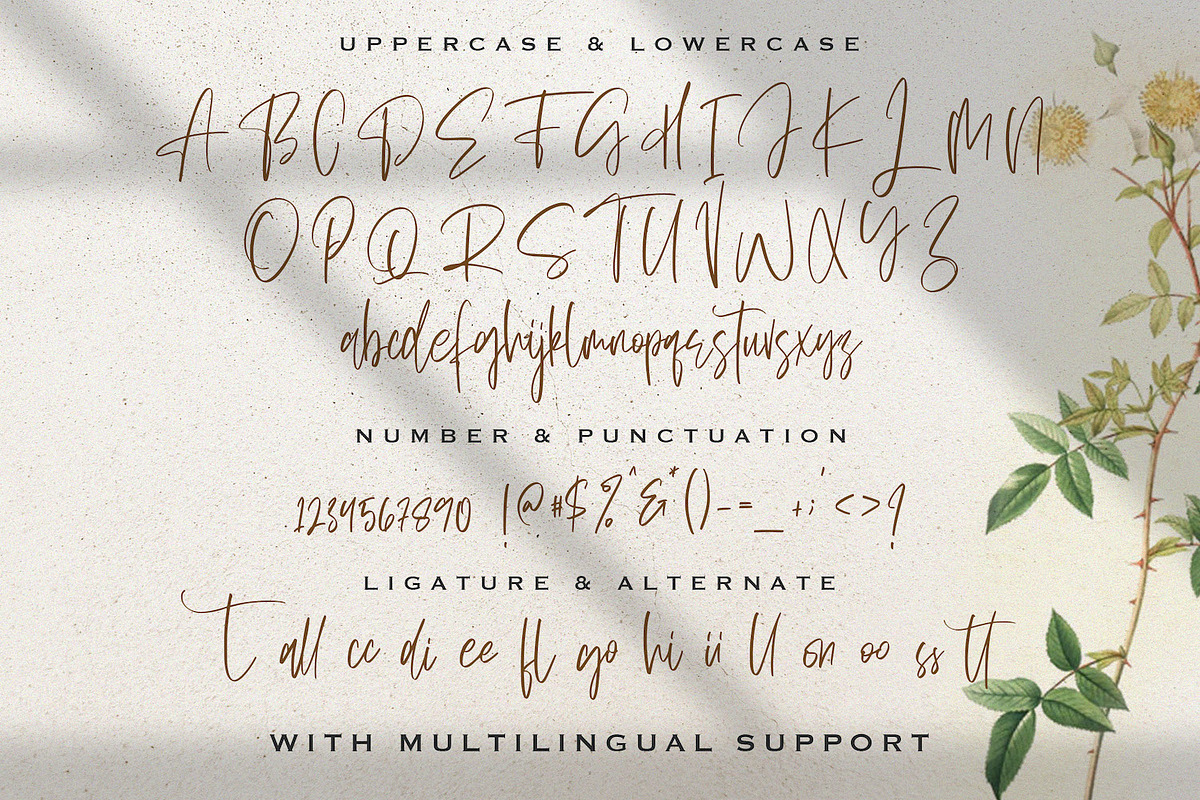 Sellviny Queen - Handwritten Font, a Script Font by StringLabs (Photo 9 of 10)