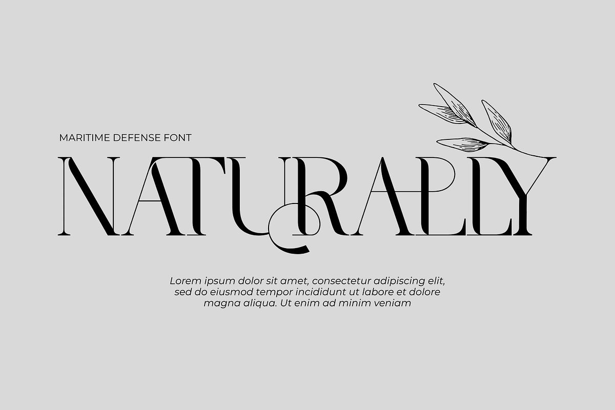 MARITIME DEFENSE - MODERN SERIF FONT, a Serif Font by 177Studio (Photo 4 of 8)