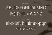 Botanics Display Variable, a Serif Font by Typetemp Studio (Thumbnail 10 of 11)