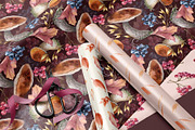 Autumn botanical seamless patterns, an Illustration by Kate Lanbina (Thumbnail 6 of 13)