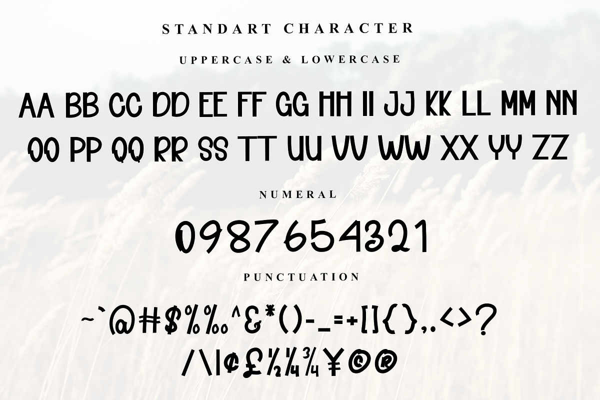 Boyband, a Sans Serif Font by InermediaSTUDIO (Photo 4 of 7)
