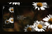 RUSTIC SUMMER (5 BACKGROUNDS), a Nature Photo by Valeriia Miller (Thumbnail 7 of 11)