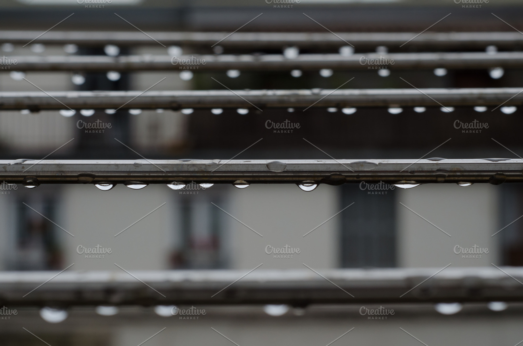 Hanging drops after rain, an Architecture Photo by mikelju's point of view