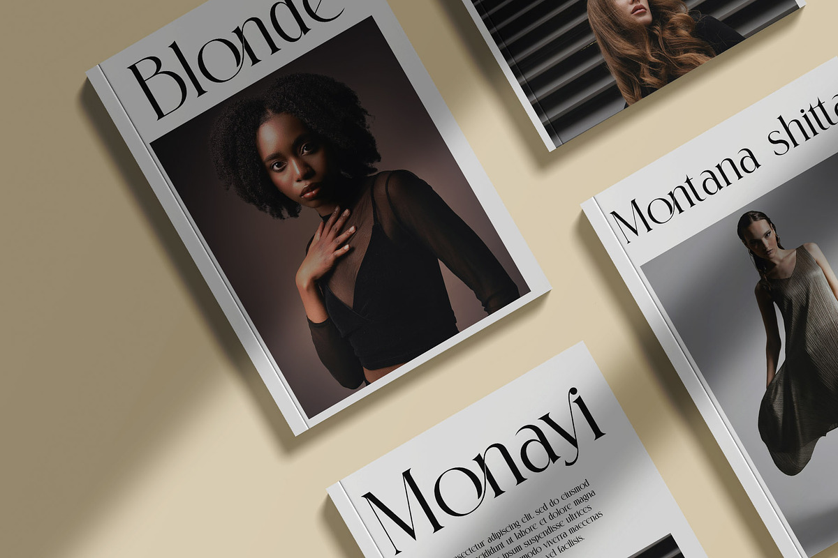 Contten Modern Ligature Serif, a Serif Font by Alfinart (Photo 4 of 11)