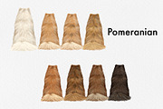 Watercolor Small Dog Breeds, an Animal Illustration by ColorfulPT (Thumbnail 3 of 8)