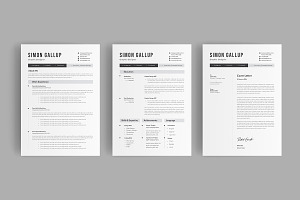 Professinal Resume Design