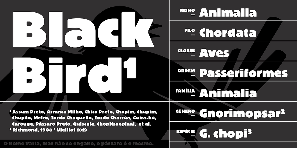 Graúna, a Sans Serif Font by Typeóca (Photo 3 of 9)