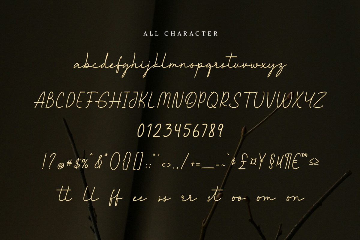 Living my story, a Script Font by Bluestype Studio (Photo 8 of 9)