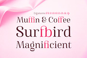 Famosa - Font Family, a Serif Font by TypeThis!Studio (Thumbnail 2 of 11)