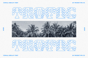 Corail Display Font - Tropics Font